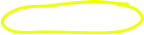 Vector