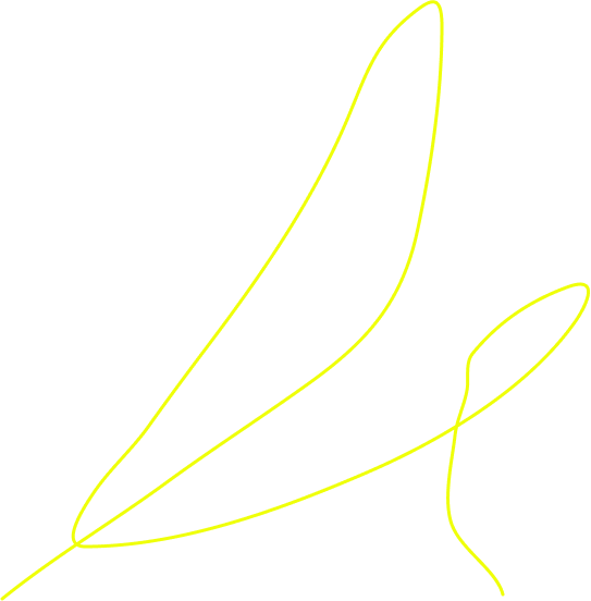 Vector